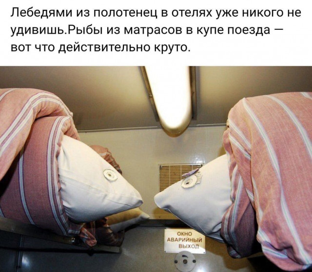 1BCEF922-CDB6-4502-919D-1D45D243A44F.jpeg