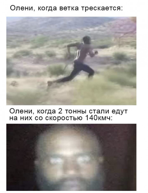 D59861DA-0F7B-42BF-BCD2-1788D743E1C4.jpeg