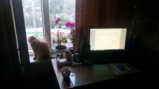 20200807_201144.jpg