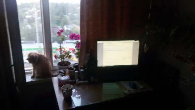 20200807_201021.jpg