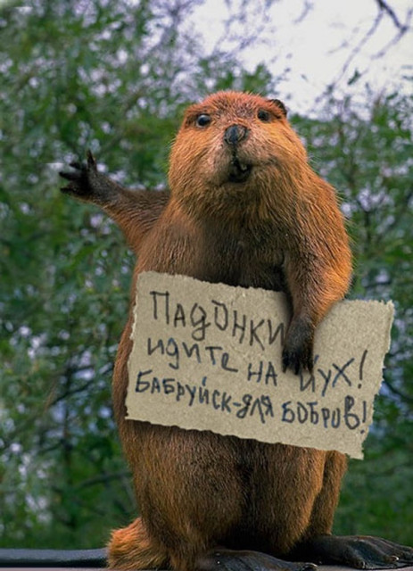 5301673.jpg