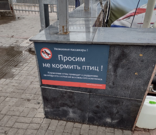 не кормить птиц.png