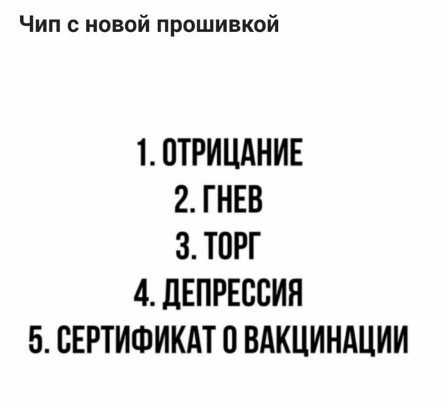 max_g480_c12_r2x3_pd20.jpeg