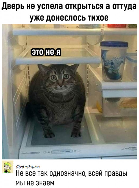 ответ15.jpg