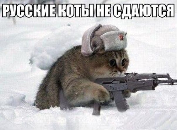 ответ10.jpg