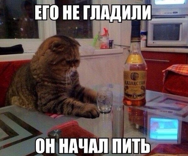 ответ11.jpg