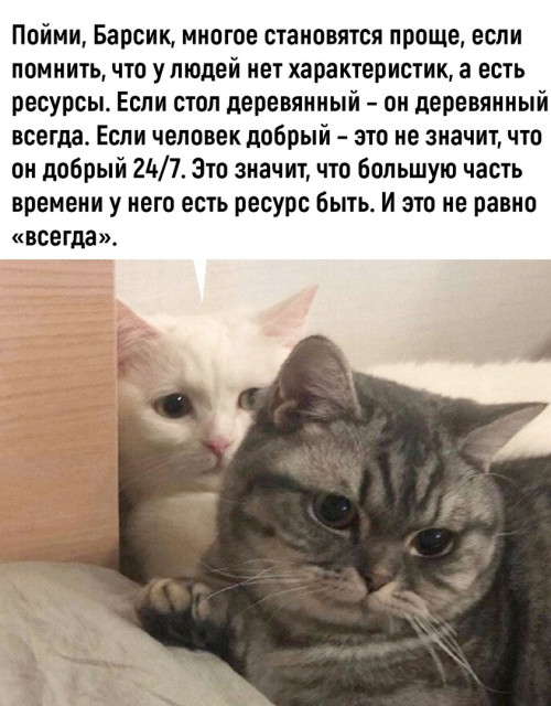 отв19.jpg