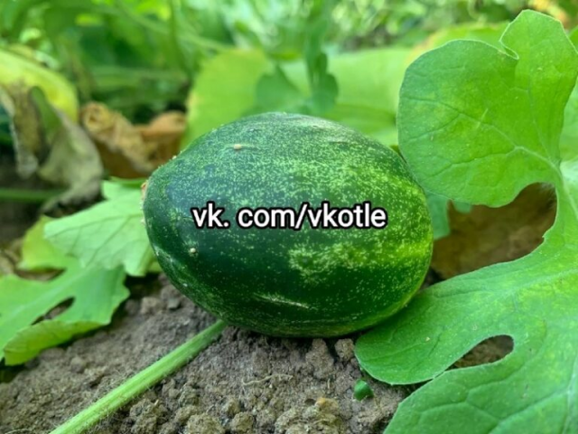 изображение_2022-08-23_062252287.png