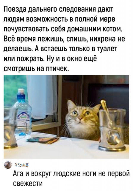 отв25.jpg
