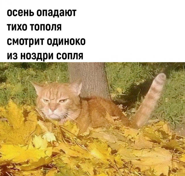 изображение_2022-09-24_161205021.png