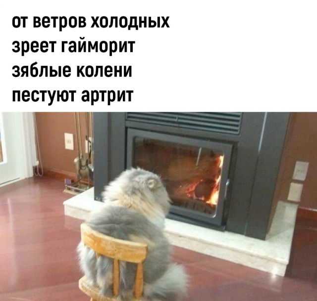 изображение_2022-09-24_224854170.png