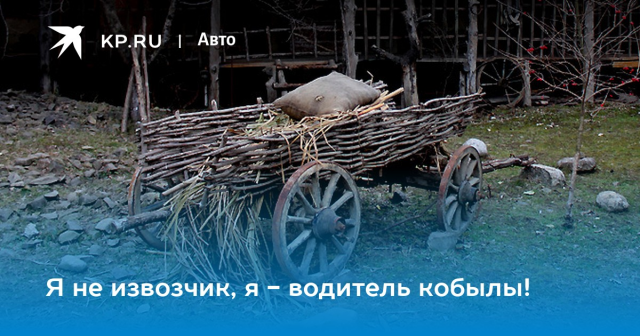 изображение_2022-11-23_225731090.png