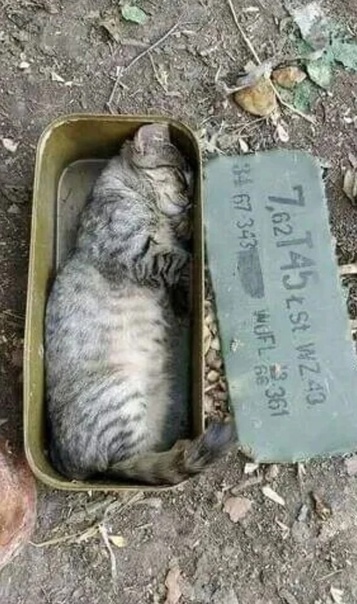 отв28.jpg