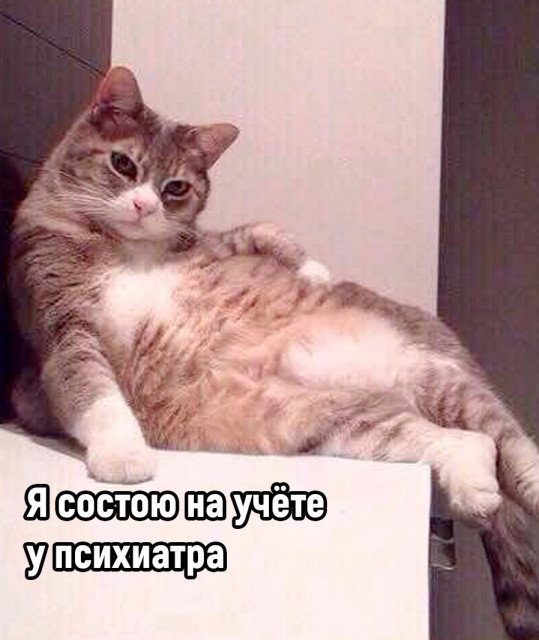 отв24.jpg