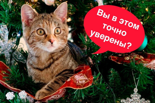 отв23.jpg
