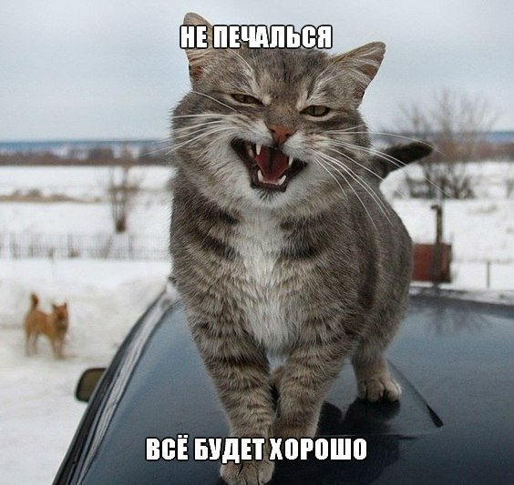 отв13.jpg