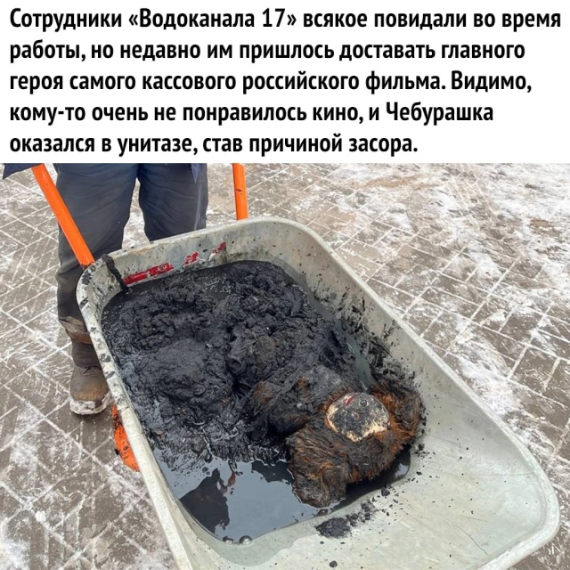 изображение_2023-02-17_205023873.png