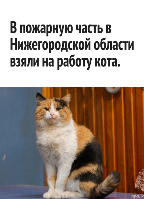 изображение_2023-02-19_203304381.png
