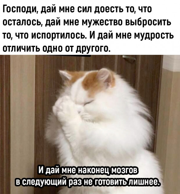 отв.jpg