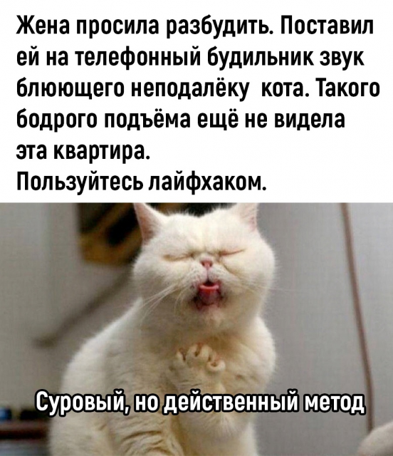 изображение_2023-03-25_100906243.png