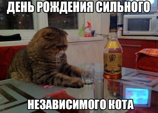 отв15.jpg