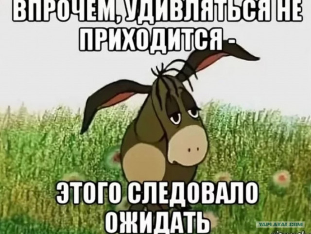 отв17.jpg