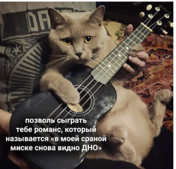 150F68FF-2C6B-41CE-86A9-559F0973E3A3.jpeg