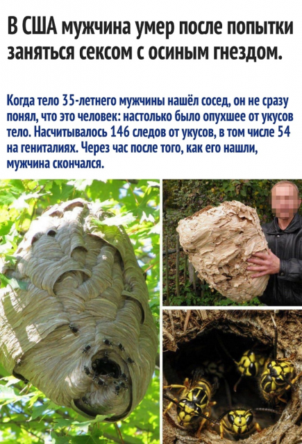 изображение_2023-04-12_211921048.png