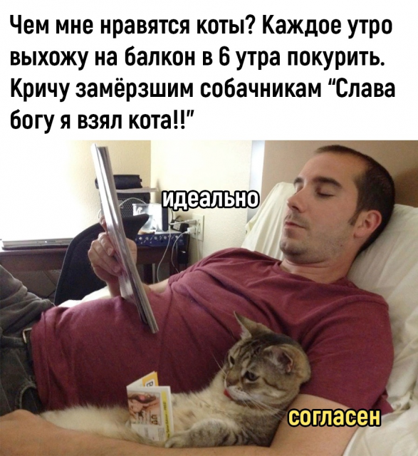 изображение_2023-04-23_114937924.png