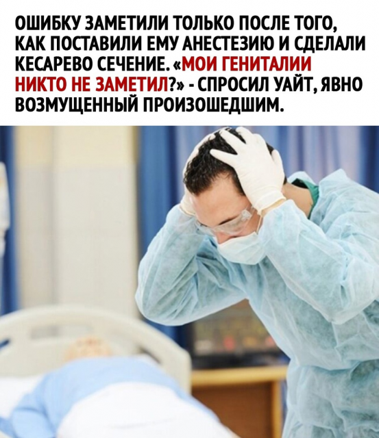 изображение_2023-04-23_141959855.png