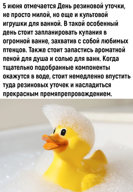 изображение_2023-06-05_202019648.png