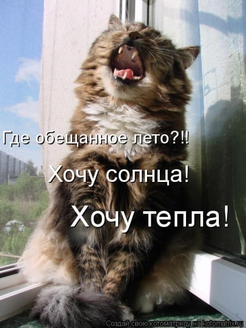 изображение_2023-06-12_163411440.png