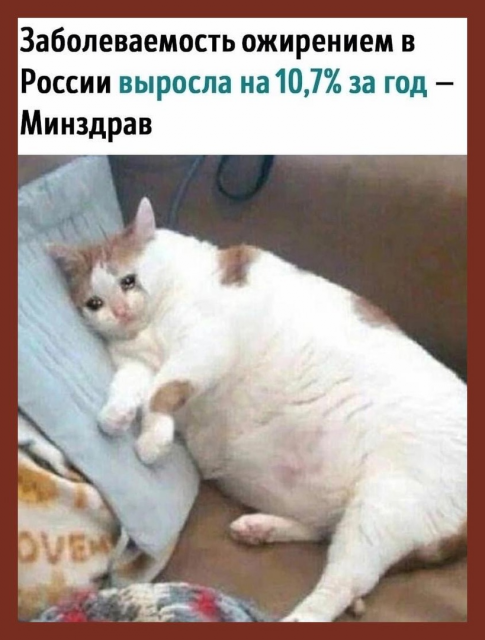 изображение_2023-06-16_173248179.png