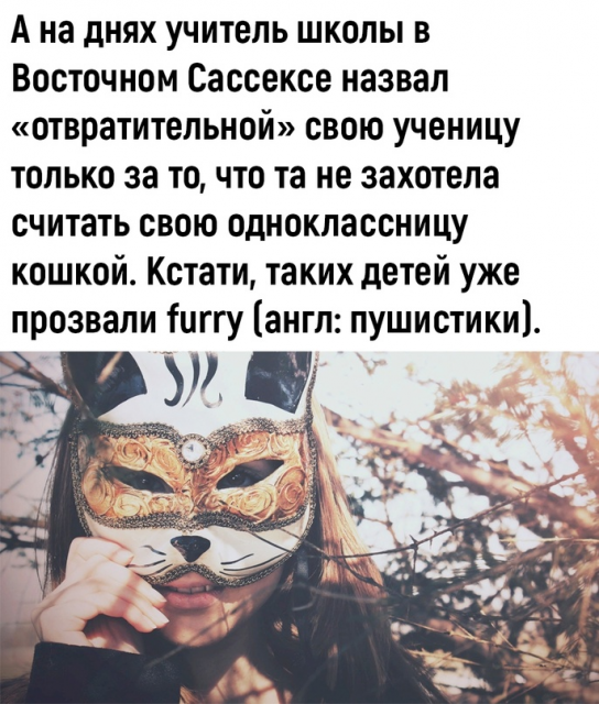 изображение_2023-06-23_192657637.png