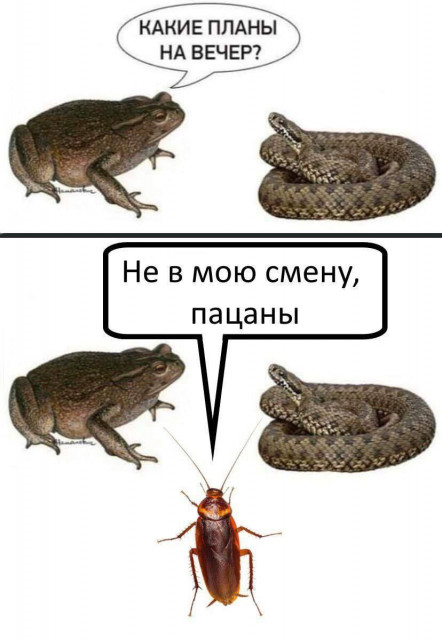11562507.jpg