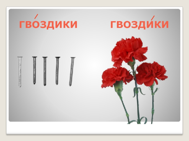 изображение_2023-06-25_101653013.png