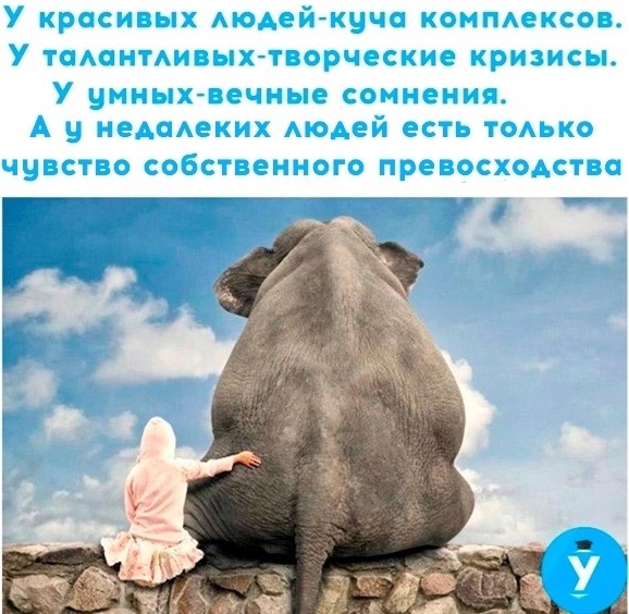 отв14.jpg