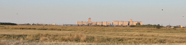 20230629_195058.jpg