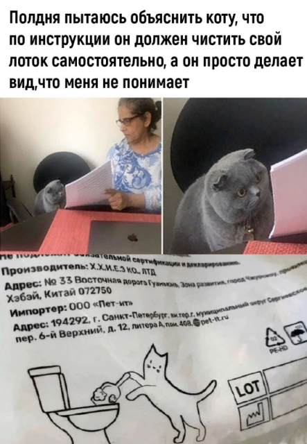 изображение_2023-07-11_095543295.png