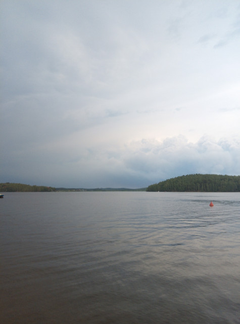 IMG_20230711_190729.jpg
