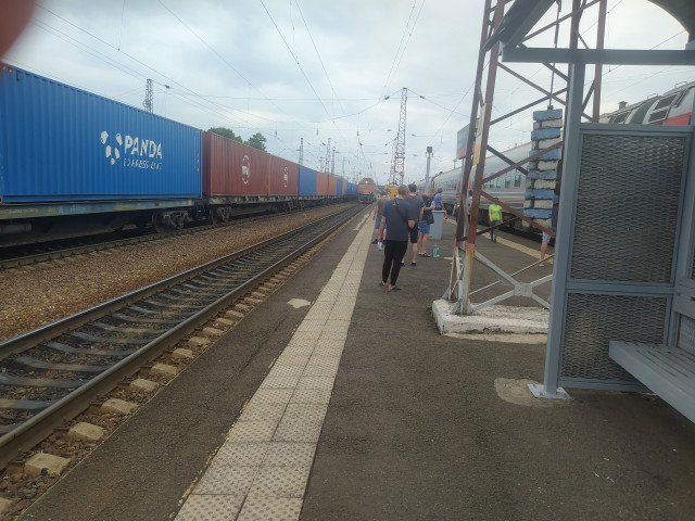 IMG_20230719_114445.jpg