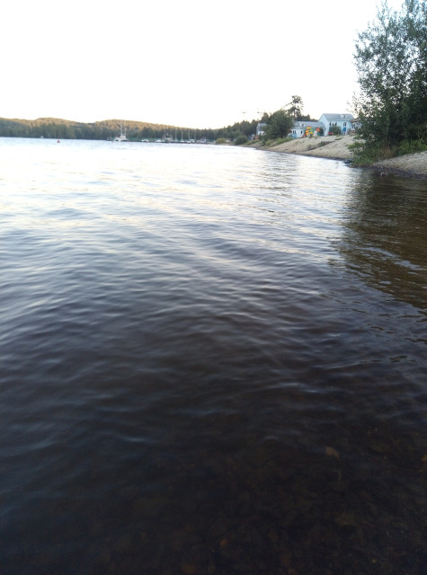 IMG_20230812_201310.jpg