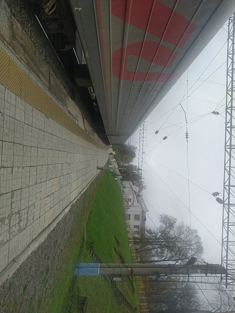 IMG_20231001_042214.jpg