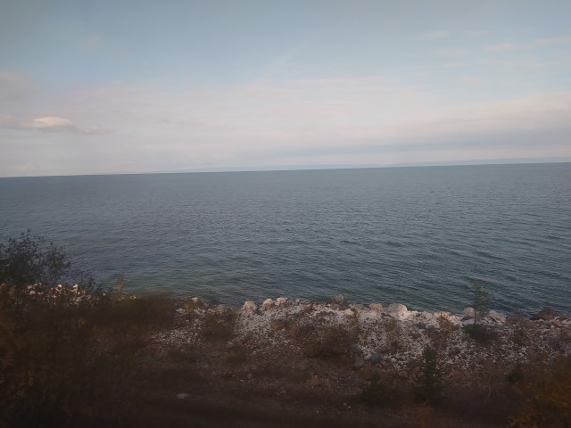 IMG_20231003_051832.jpg