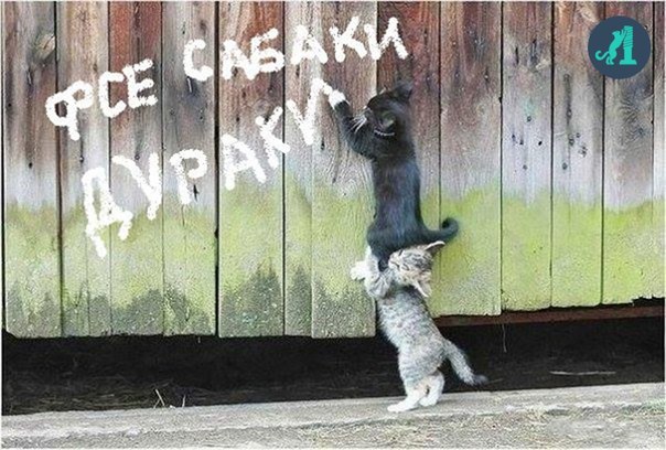отв18.jpg