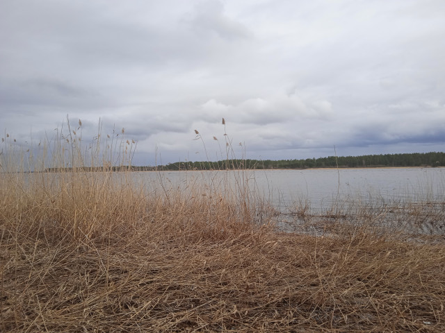 1716113483636.jpg (4.24 МБ) Просмотров: 2573 1716113483636.jpg