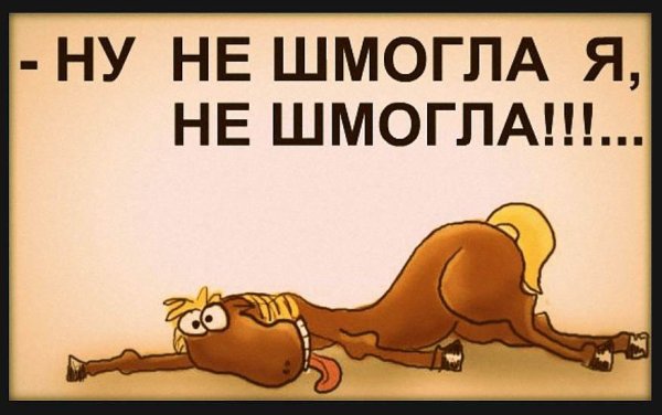 funny-klev-club-p-smeshnie-kartinki-ustalaya-loshad-6.jpg