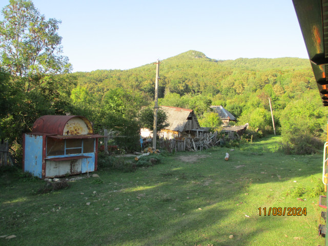 IMG_1710.JPG