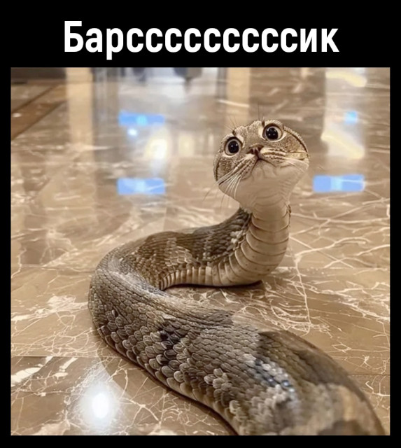 отв17.jpg