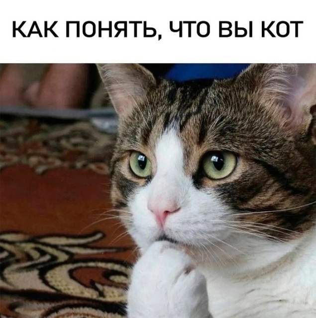 отв1.jpg